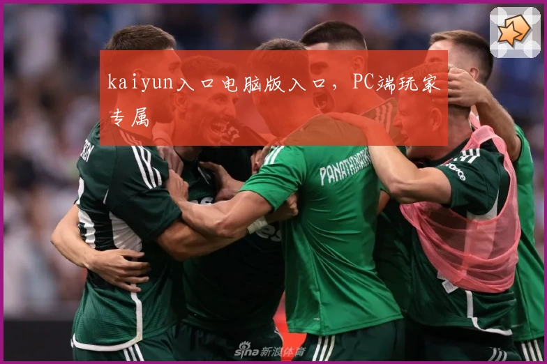 kaiyun入口电脑版入口，PC端玩家专属