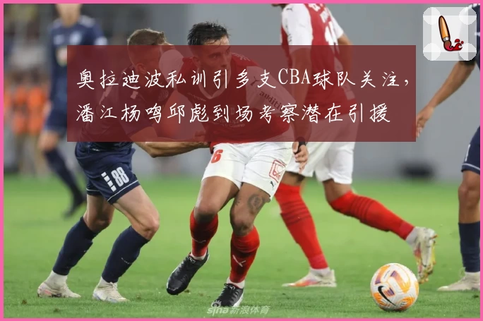 奥拉迪波私训引多支CBA球队关注，潘江杨鸣邱彪到场考察潜在引援