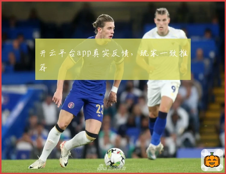 开云平台app真实反馈，玩家一致推荐