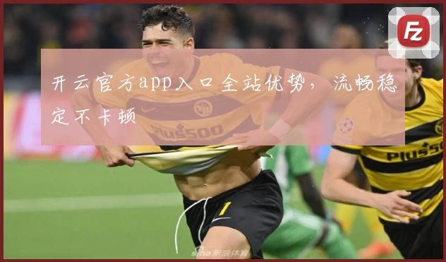 开云官方app入口全站优势，流畅稳定不卡顿