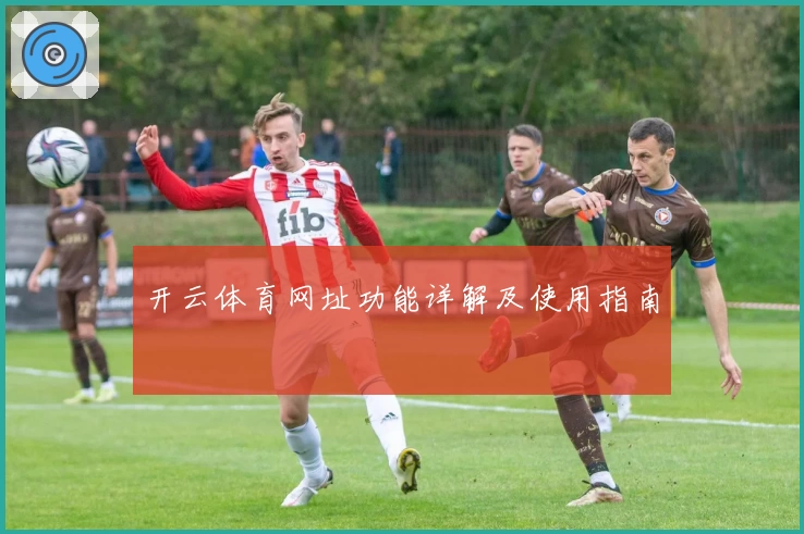 开云体育网址功能详解及使用指南