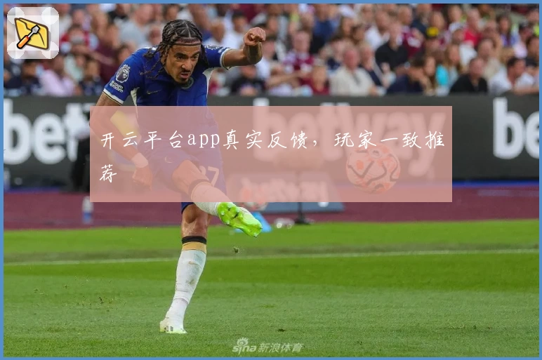 开云平台app真实反馈，玩家一致推荐